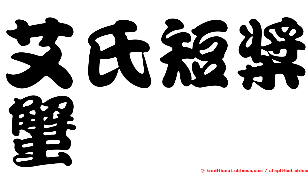艾氏短槳蟹