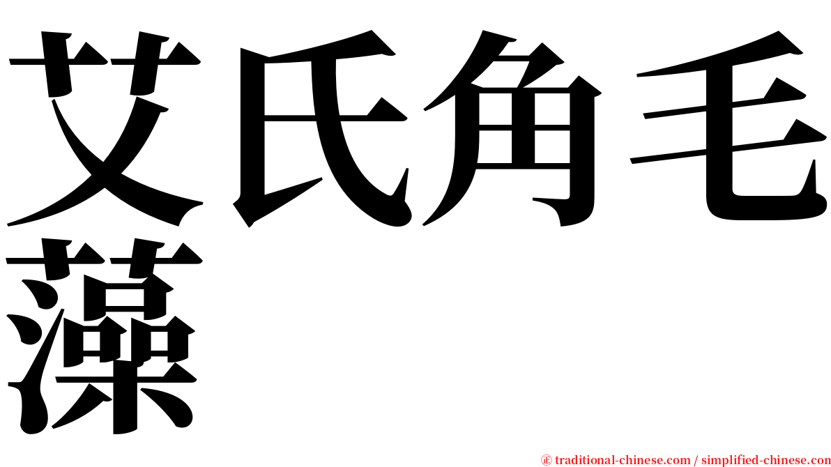 艾氏角毛藻 serif font