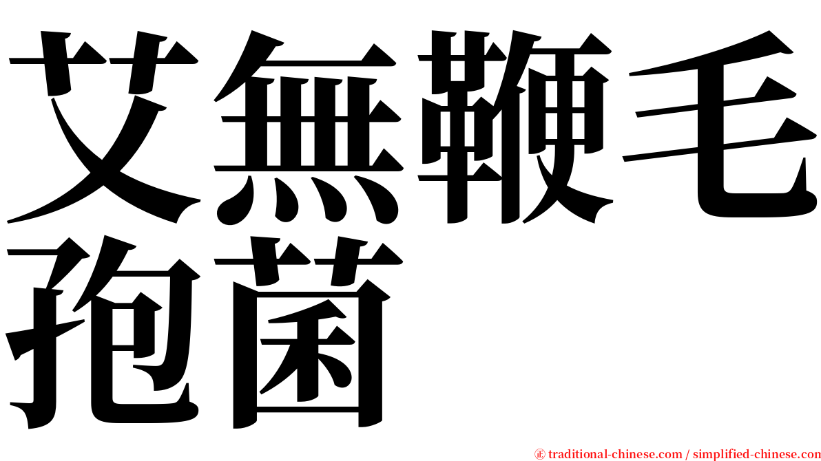 艾無鞭毛孢菌 serif font