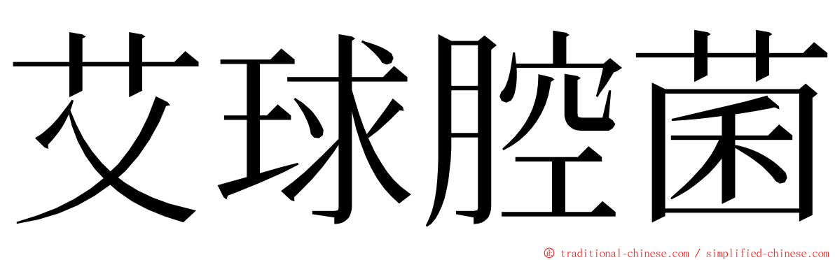 艾球腔菌 ming font