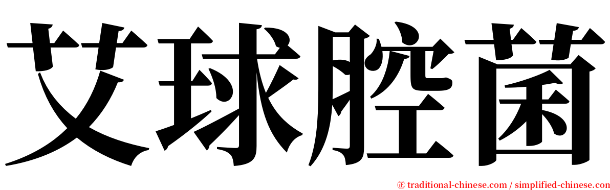 艾球腔菌 serif font