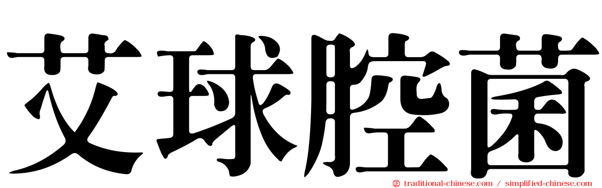 艾球腔菌