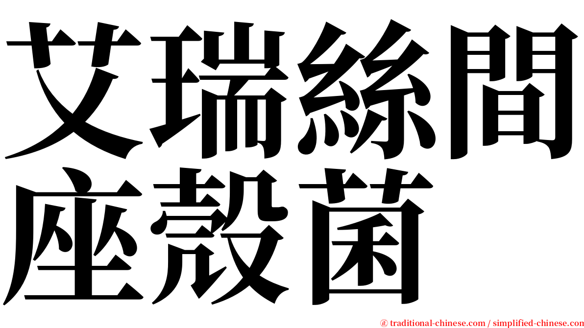 艾瑞絲間座殼菌 serif font