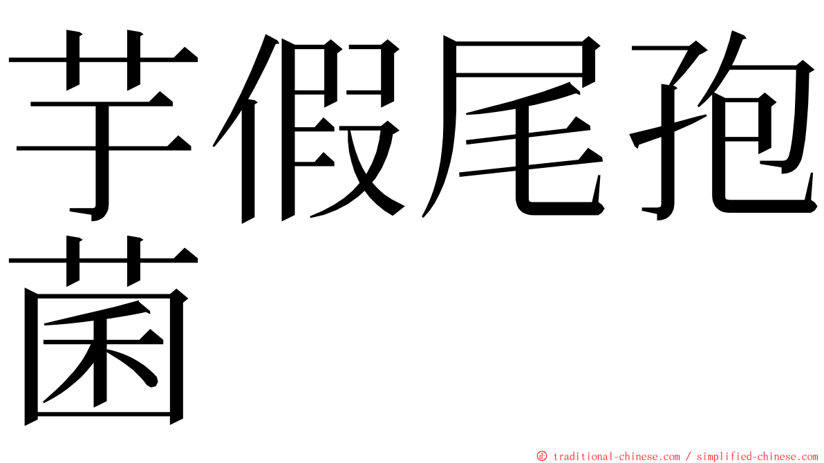 芋假尾孢菌 ming font