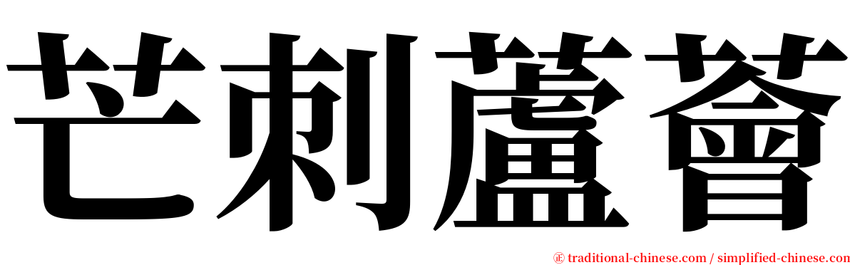 芒刺蘆薈 serif font