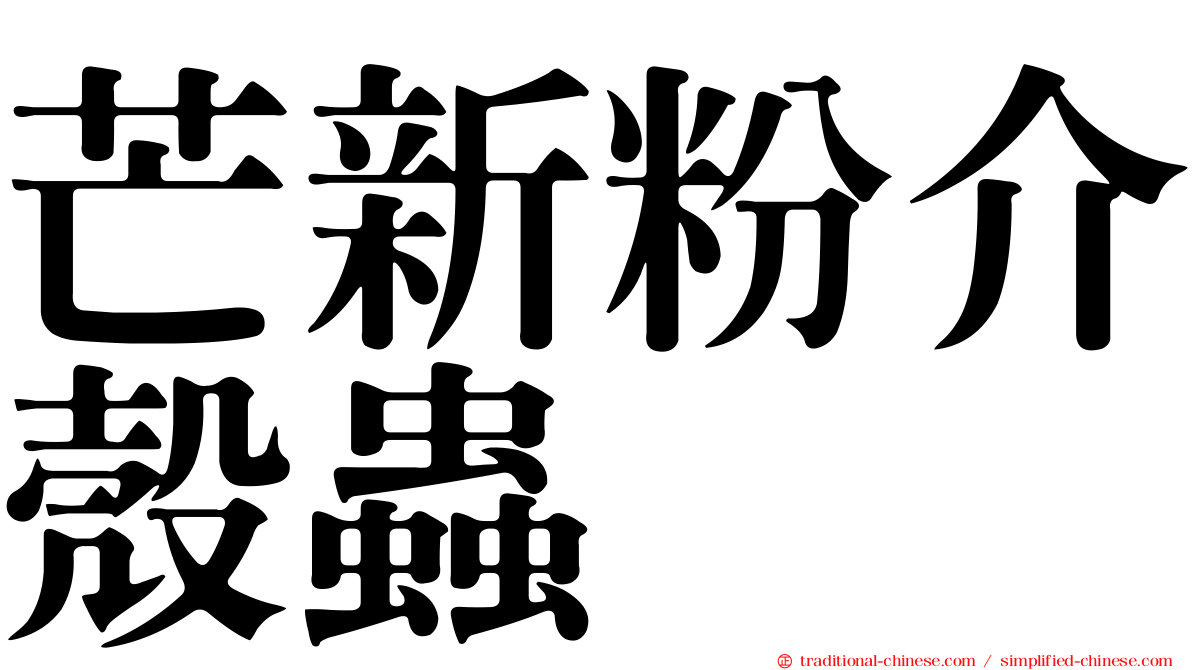 芒新粉介殼蟲