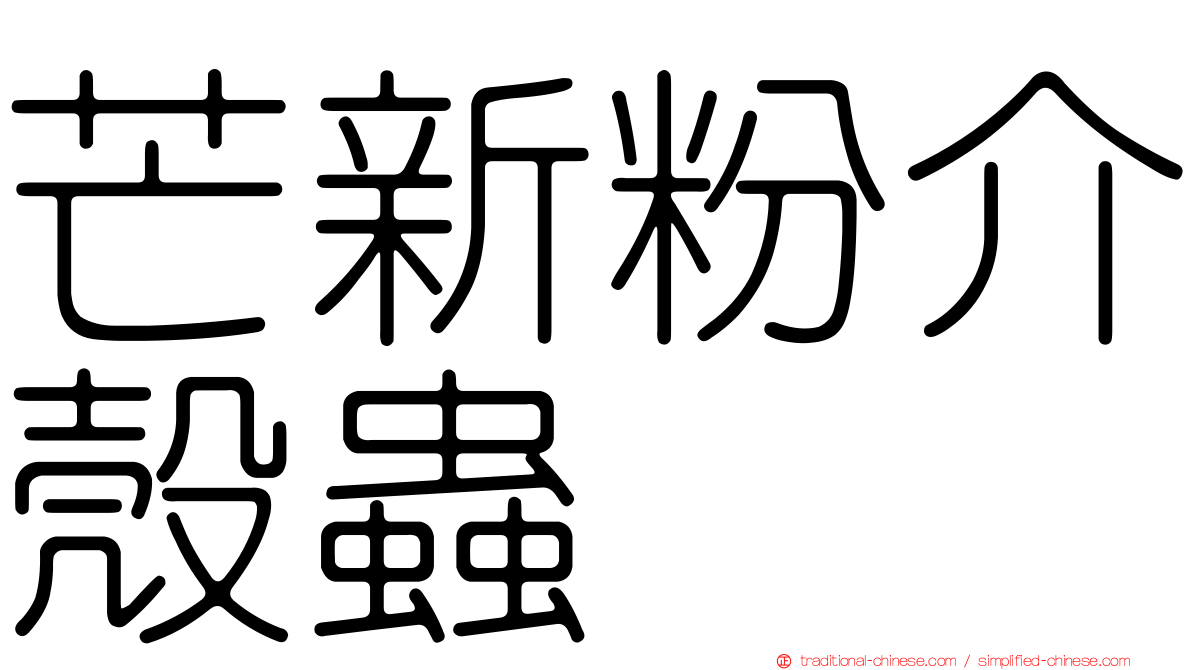 芒新粉介殼蟲