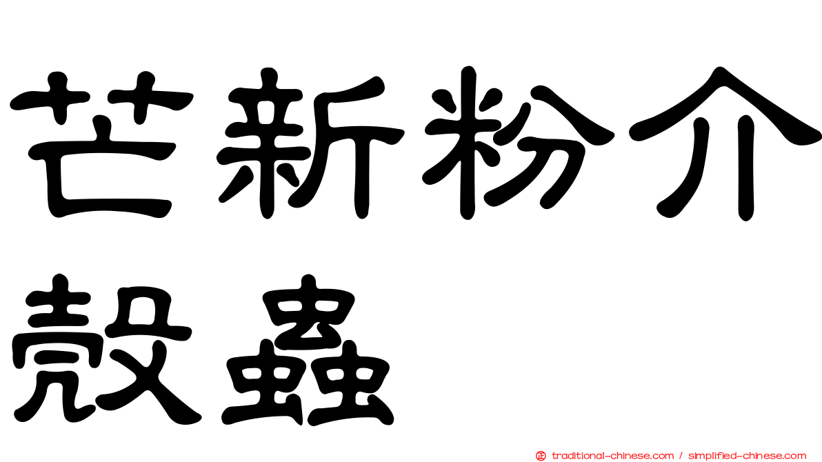 芒新粉介殼蟲