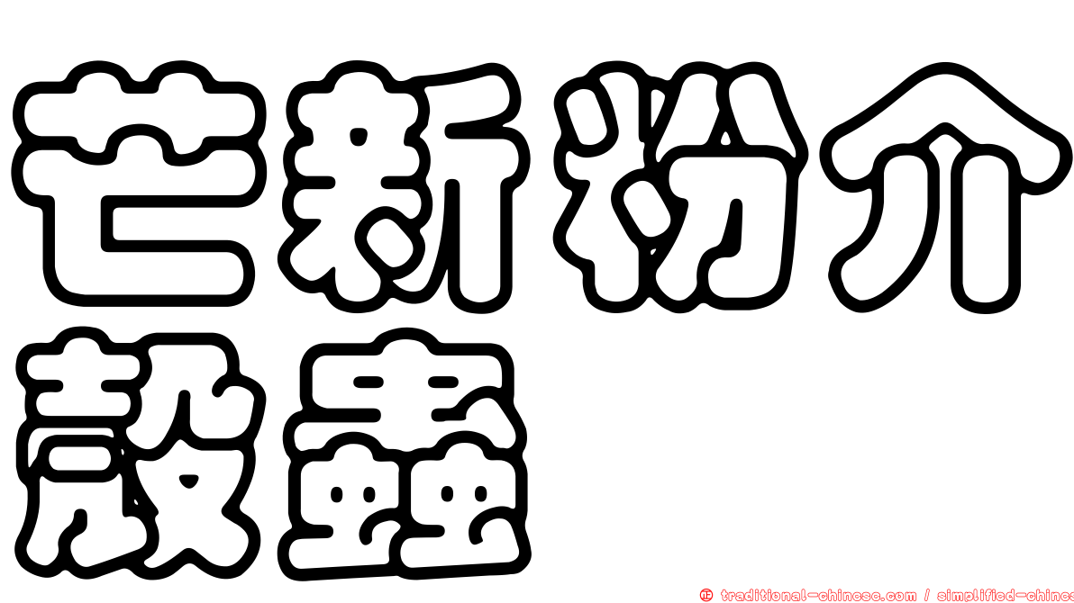 芒新粉介殼蟲