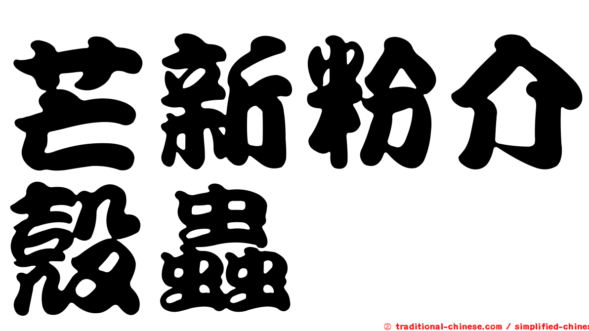 芒新粉介殼蟲