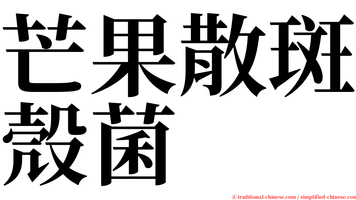 芒果散斑殼菌 serif font