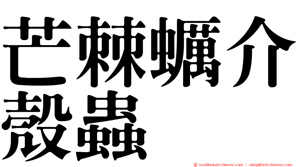 芒棘蠣介殼蟲