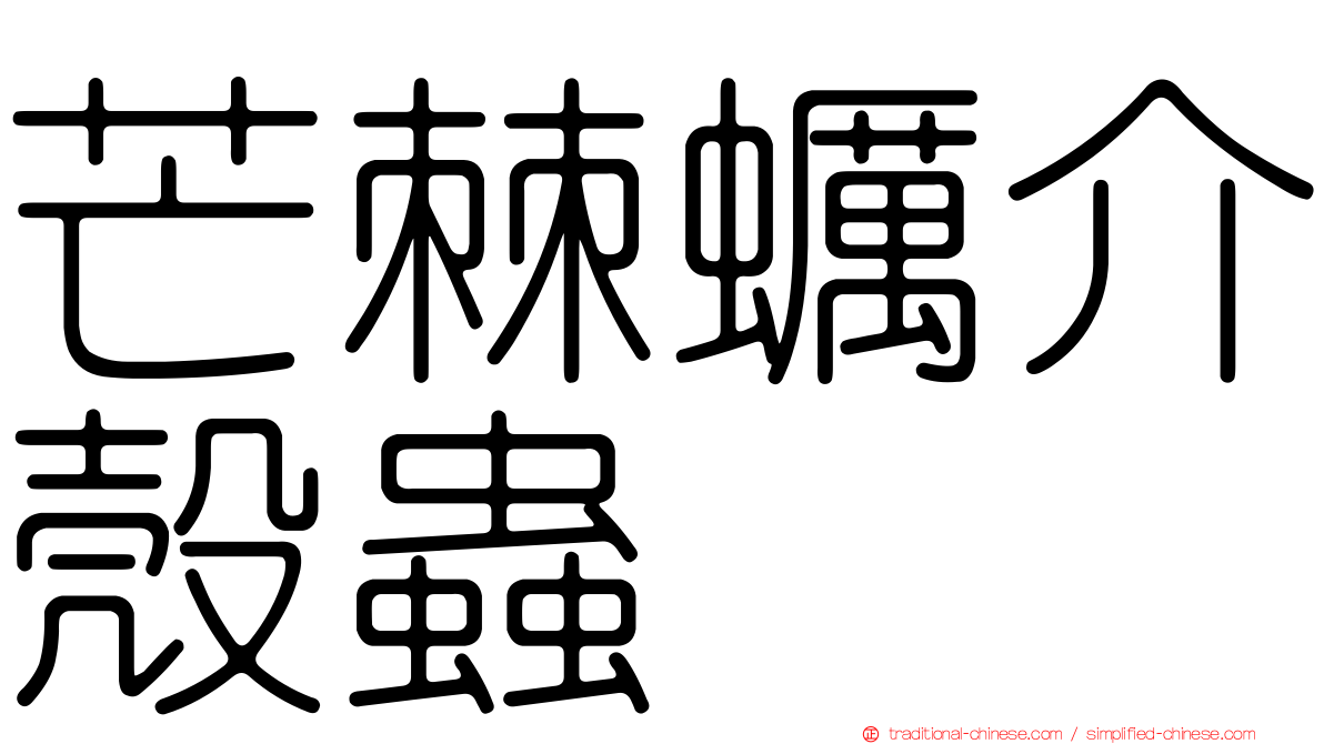 芒棘蠣介殼蟲