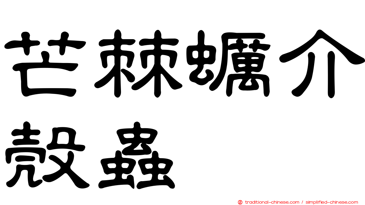 芒棘蠣介殼蟲