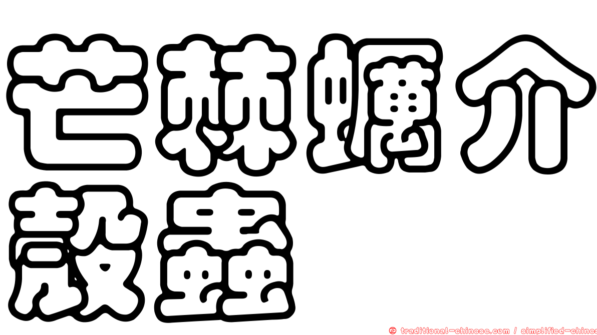 芒棘蠣介殼蟲