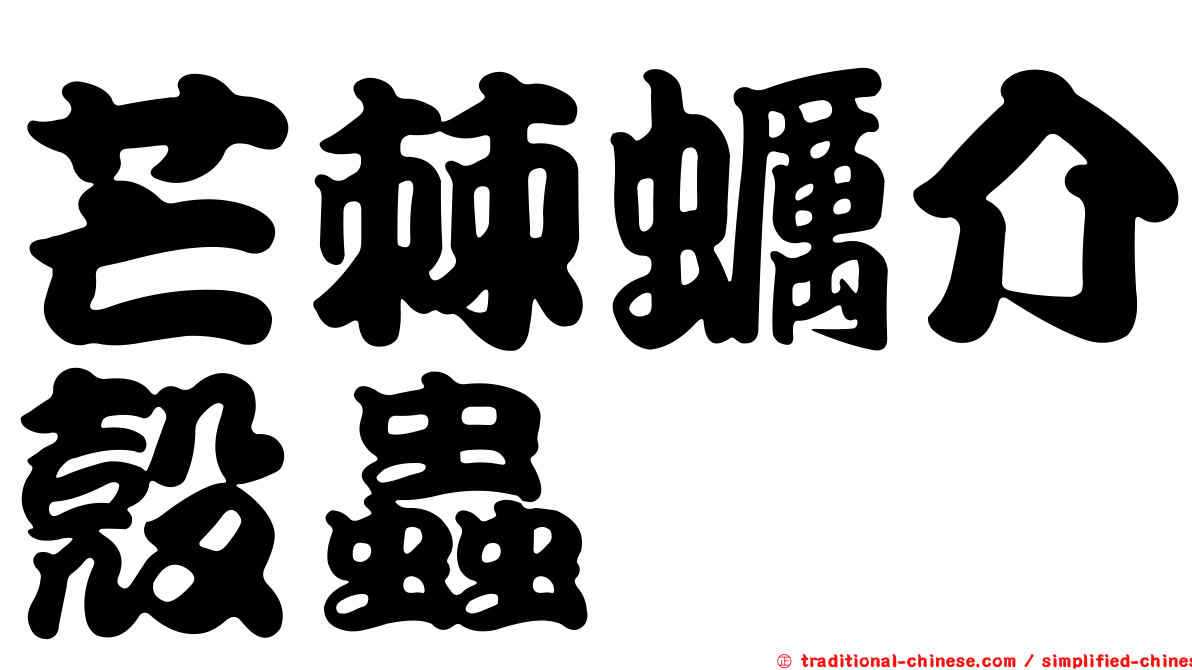 芒棘蠣介殼蟲