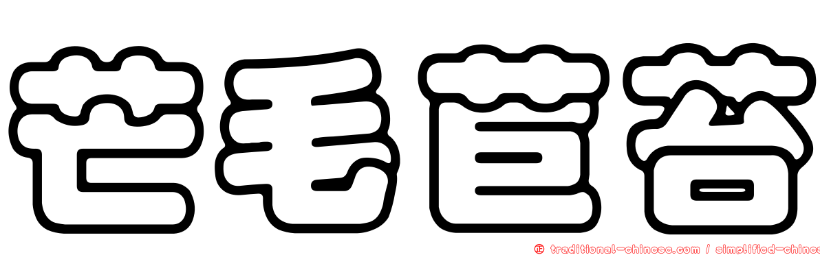 芒毛苣苔