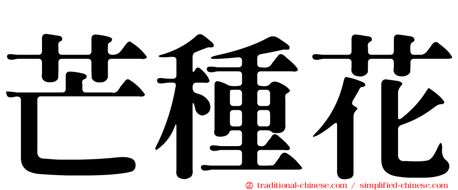 芒種花