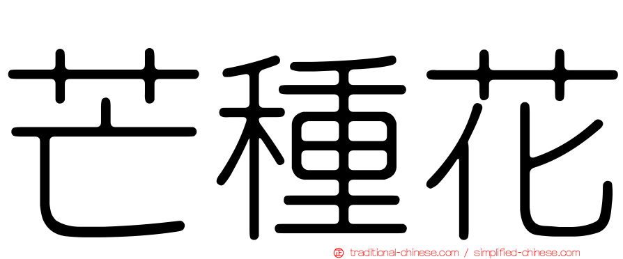 芒種花