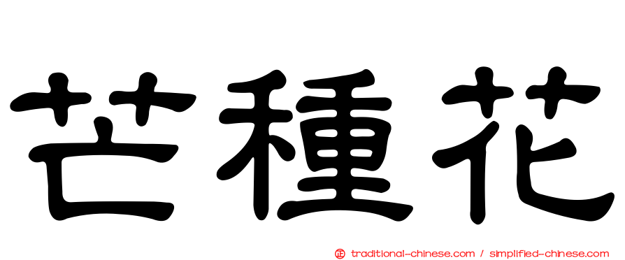 芒種花