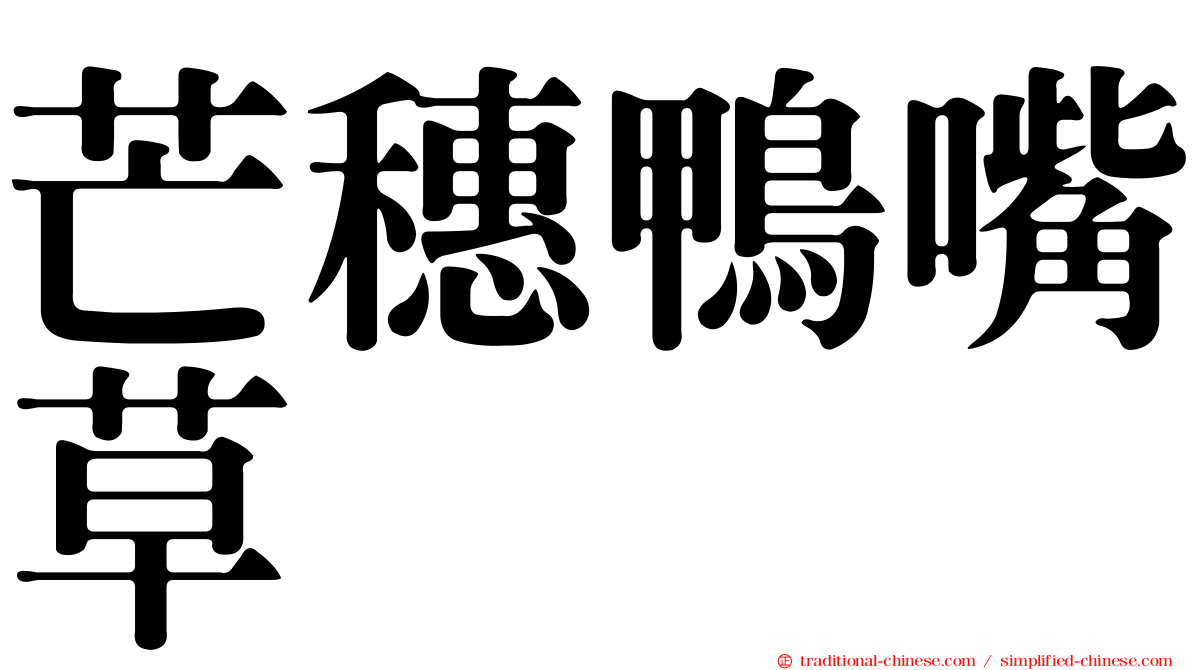 芒穗鴨嘴草
