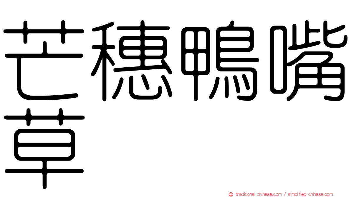 芒穗鴨嘴草