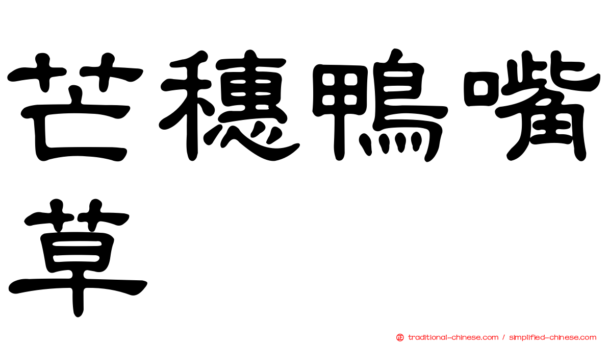 芒穗鴨嘴草