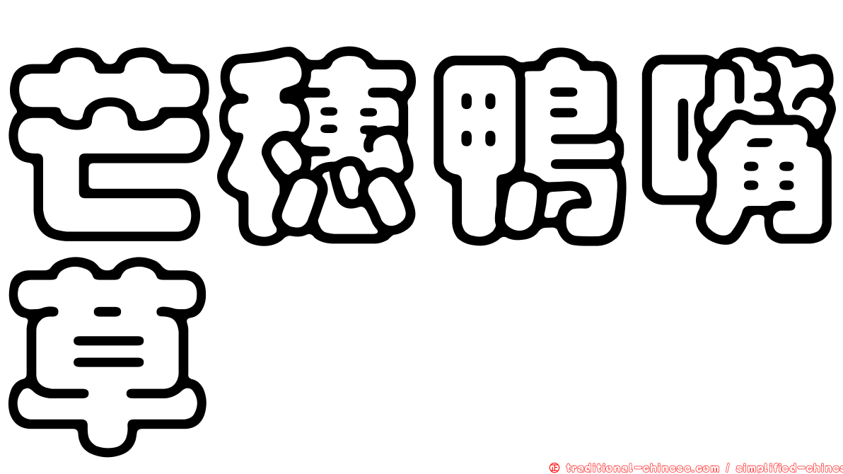 芒穗鴨嘴草