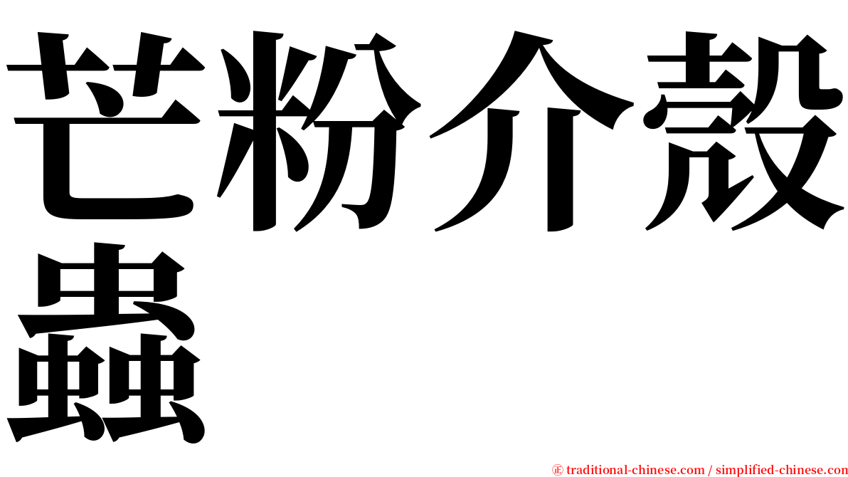 芒粉介殼蟲 serif font