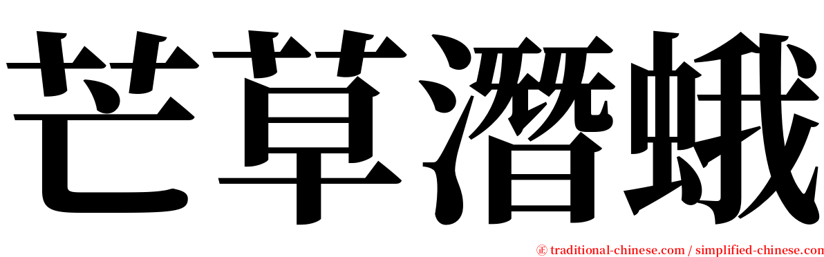 芒草潛蛾 serif font