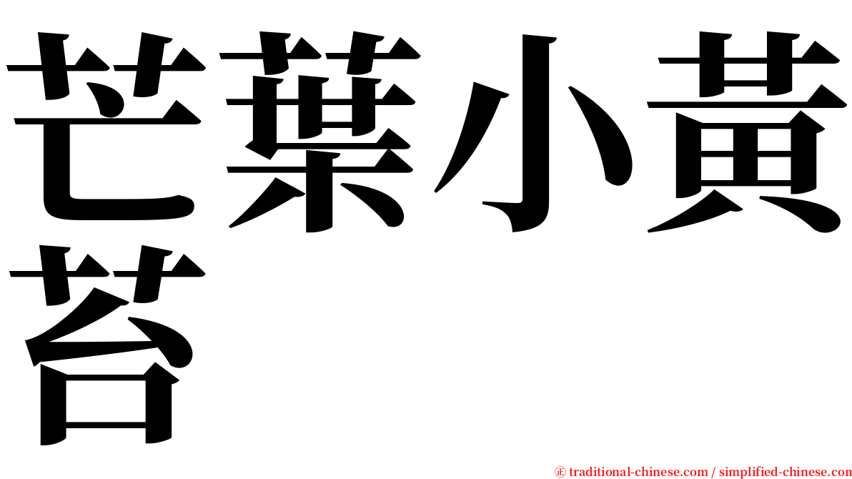芒葉小黃苔 serif font