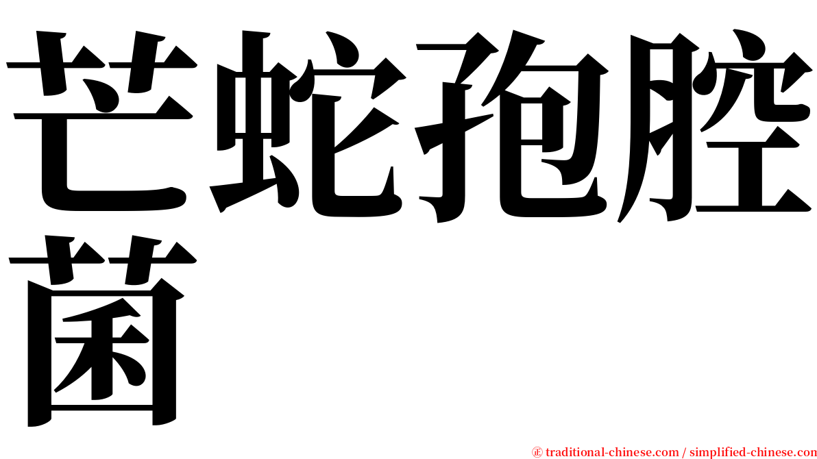 芒蛇孢腔菌 serif font