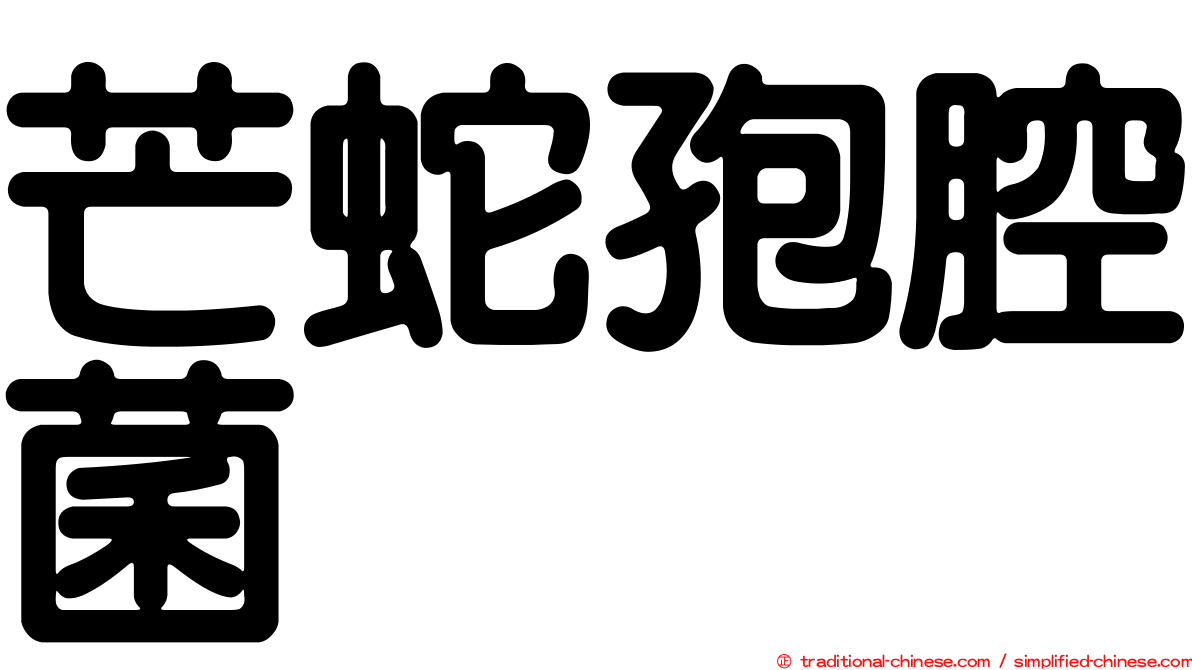 芒蛇孢腔菌