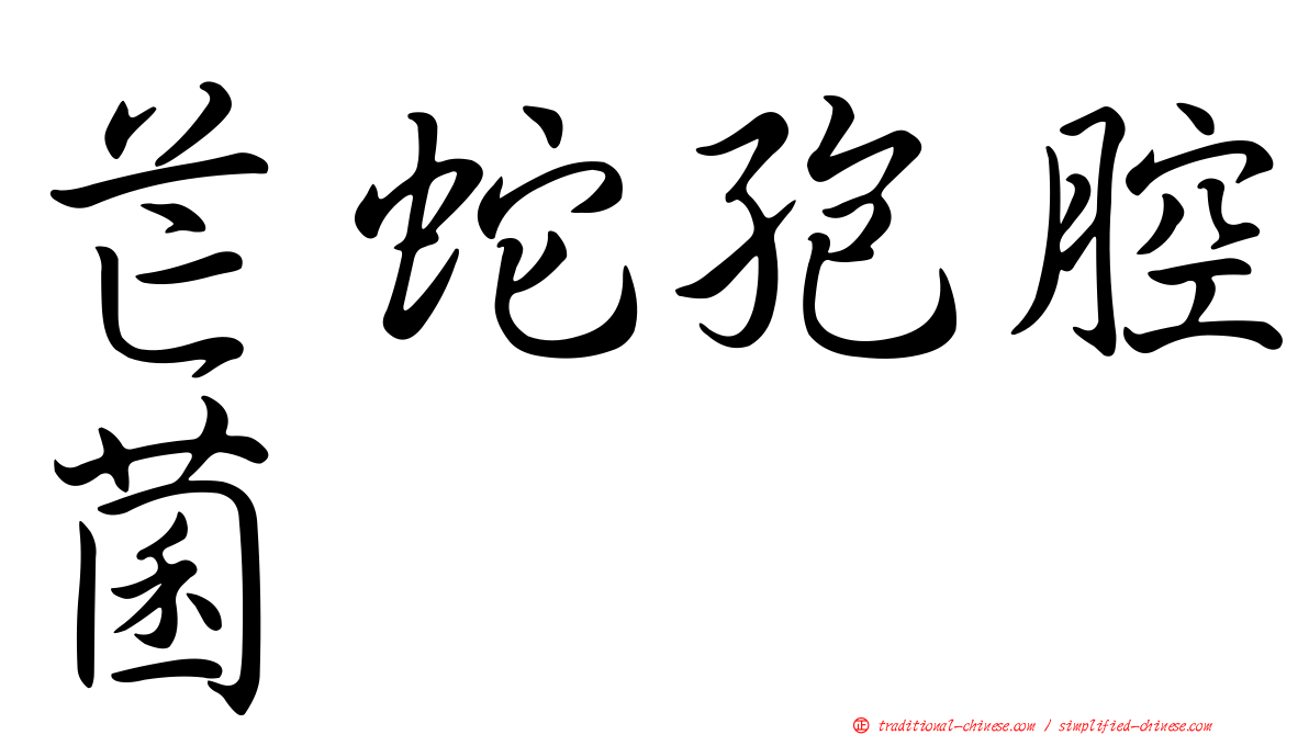 芒蛇孢腔菌