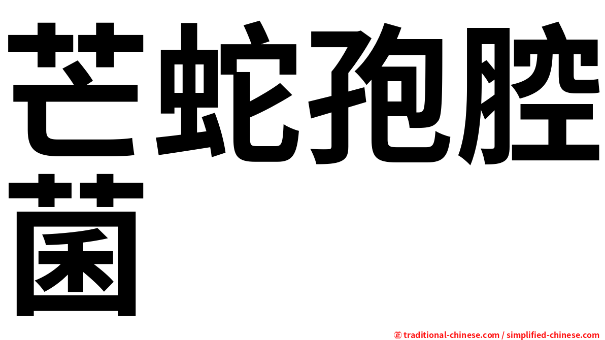 芒蛇孢腔菌
