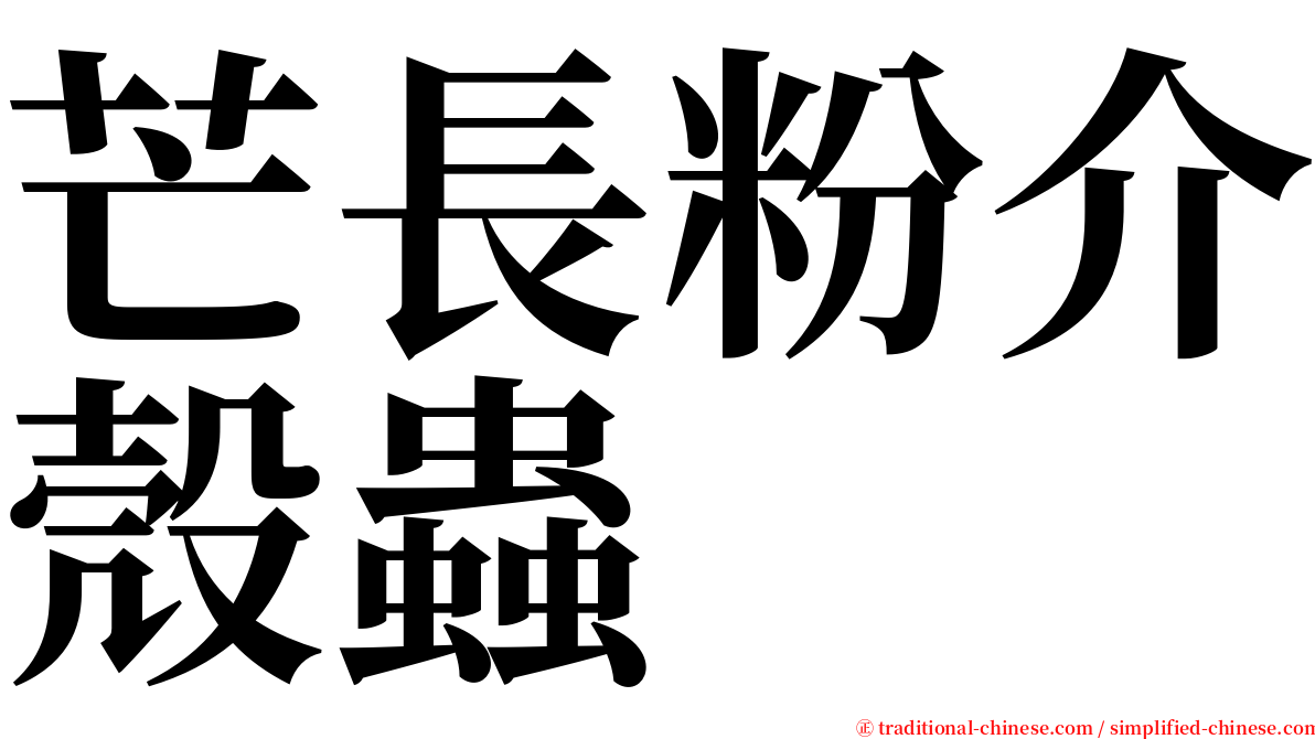 芒長粉介殼蟲 serif font