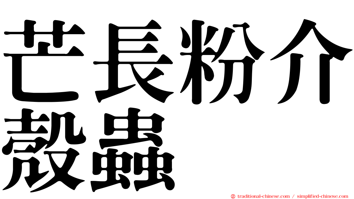 芒長粉介殼蟲