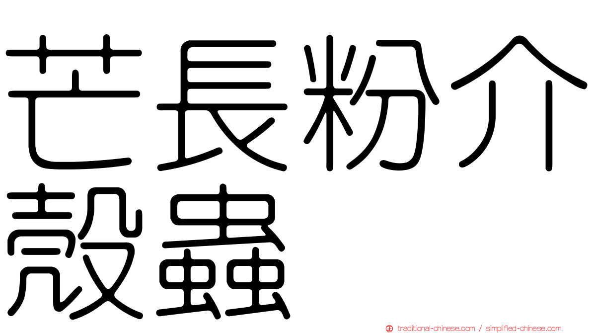 芒長粉介殼蟲