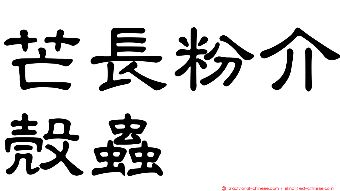 芒長粉介殼蟲