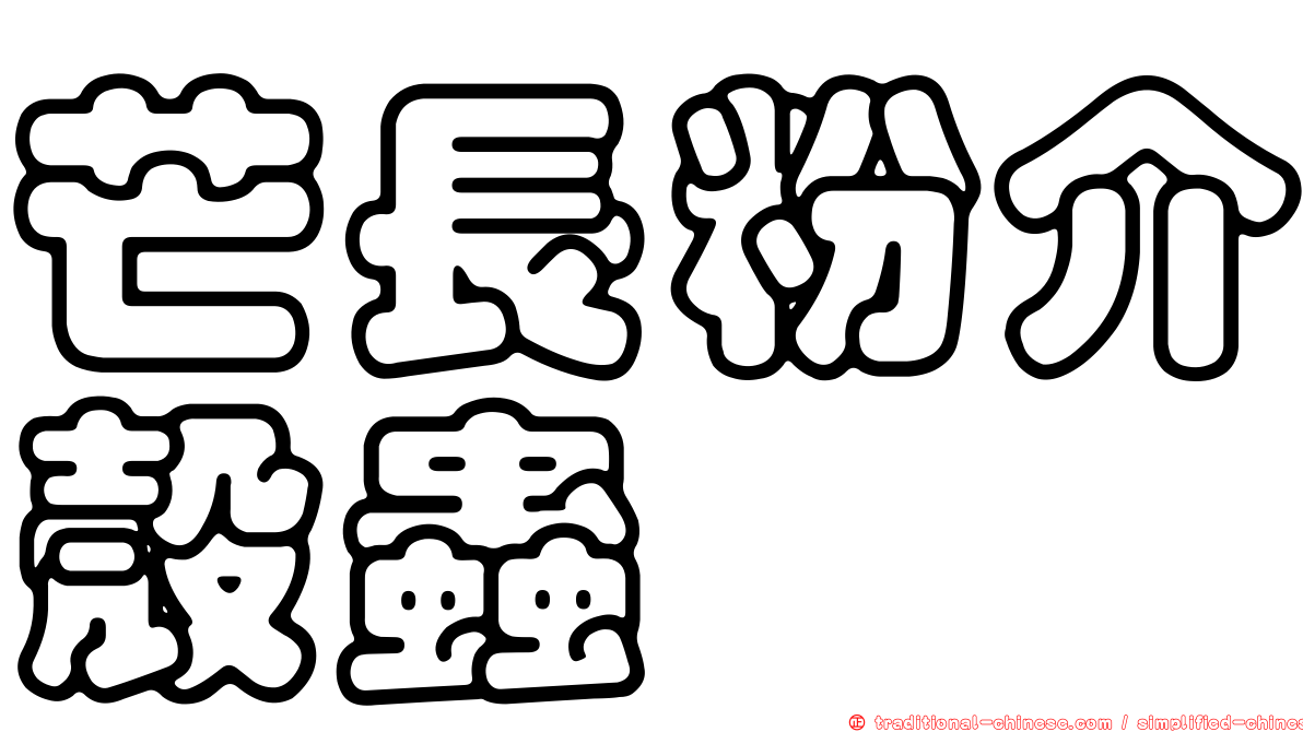 芒長粉介殼蟲