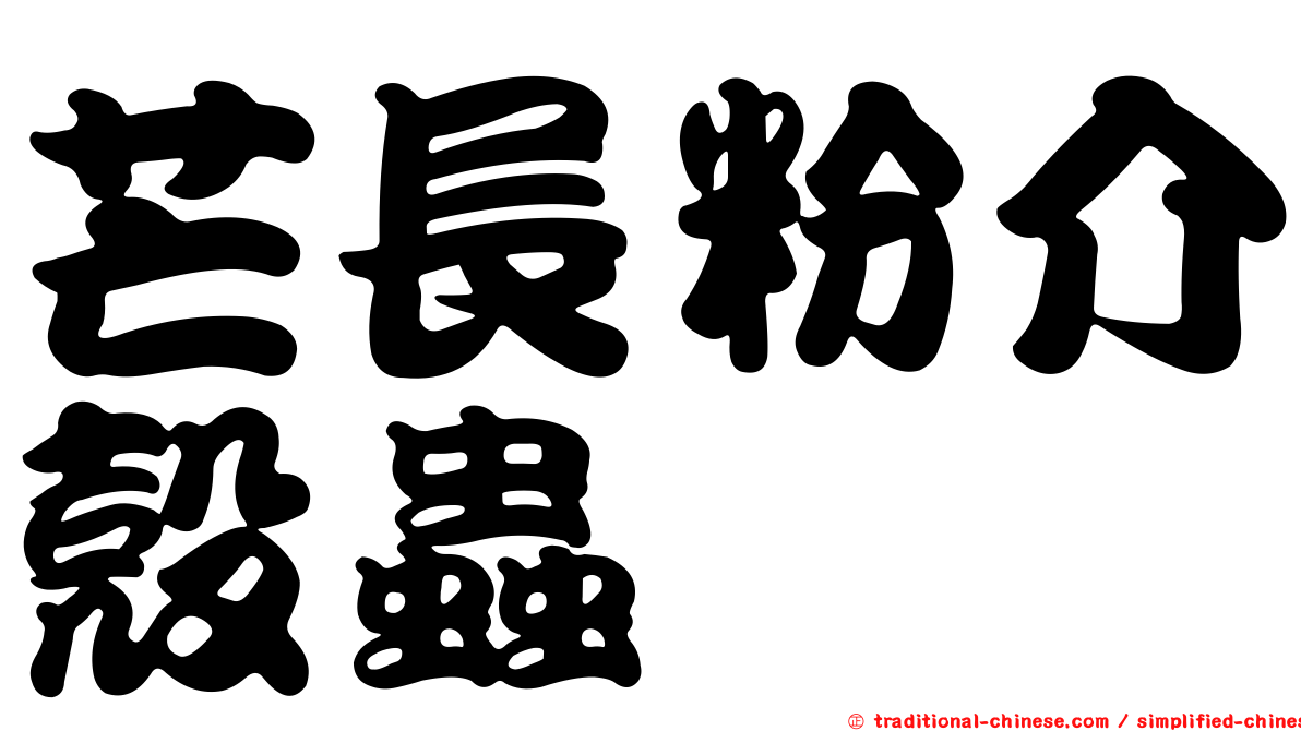 芒長粉介殼蟲