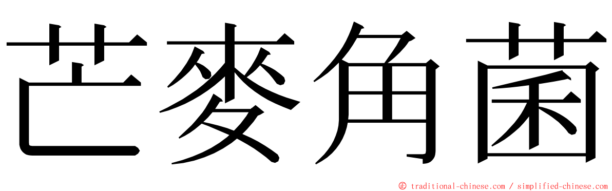 芒麥角菌 ming font