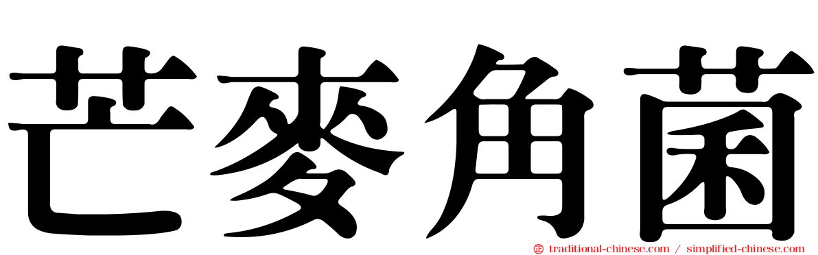 芒麥角菌