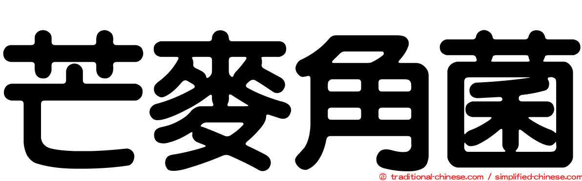 芒麥角菌
