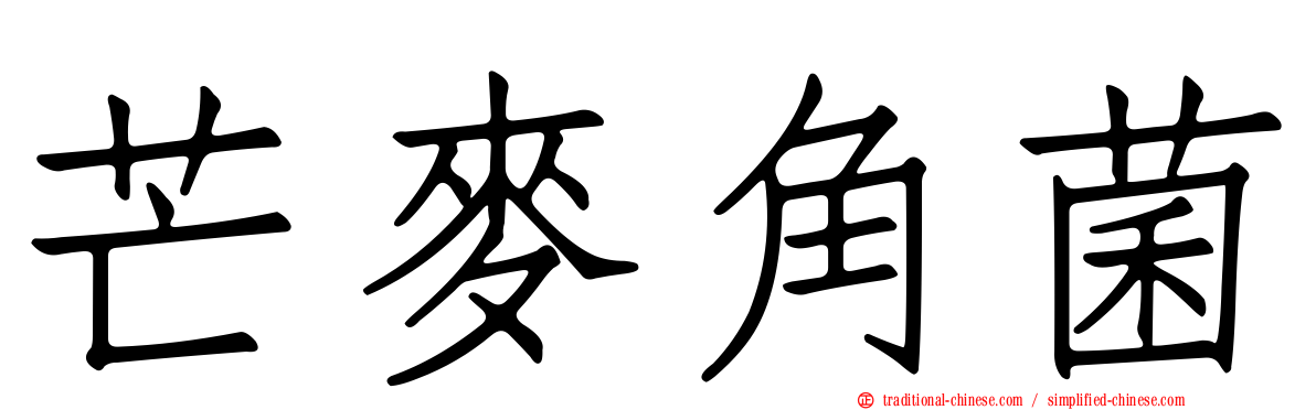 芒麥角菌