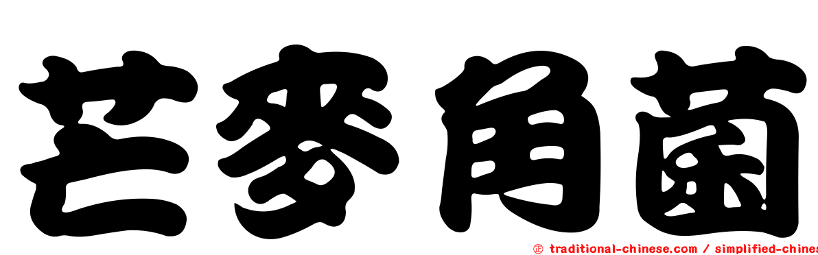 芒麥角菌
