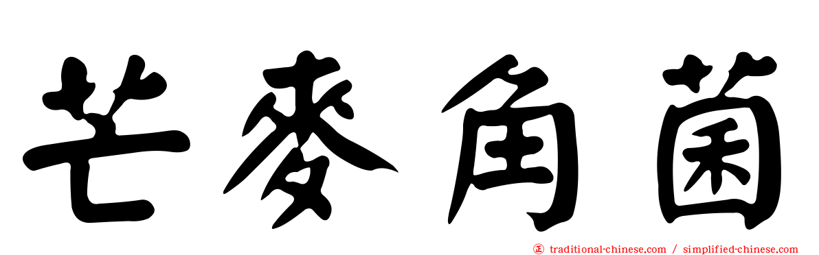 芒麥角菌