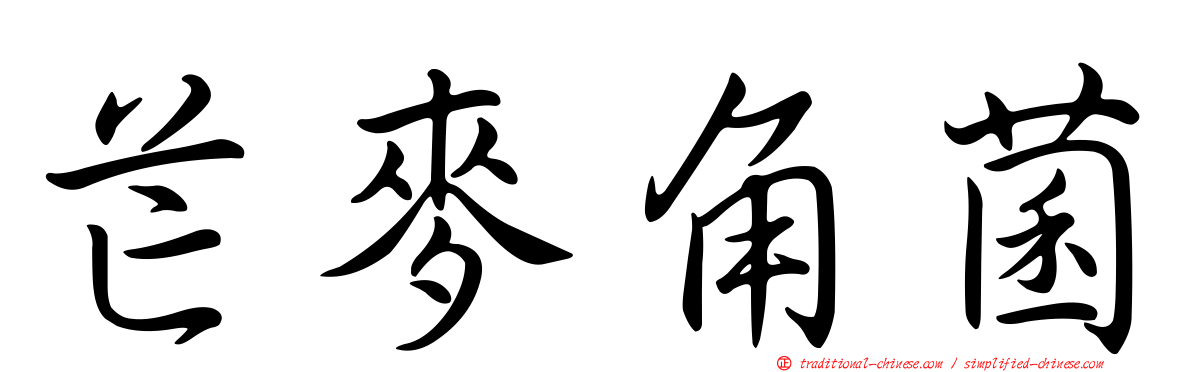 芒麥角菌