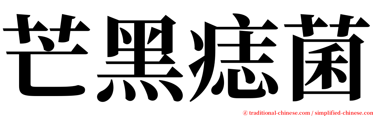 芒黑痣菌 serif font