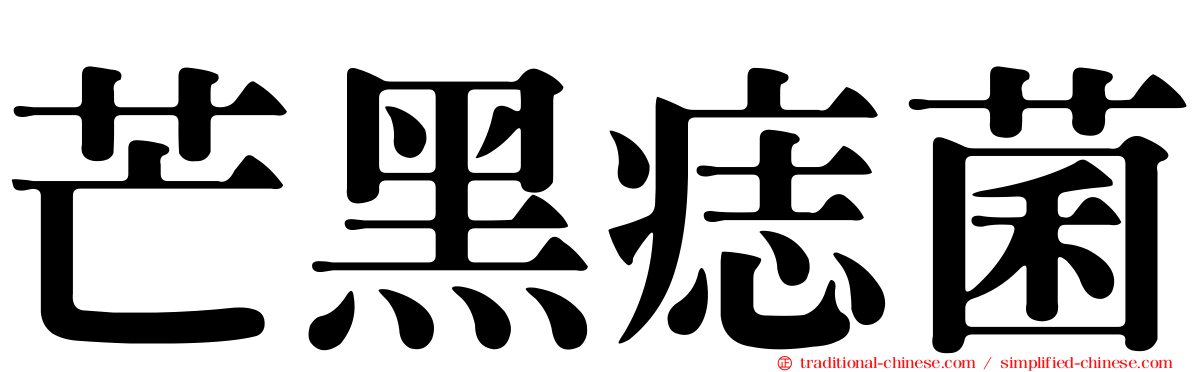 芒黑痣菌